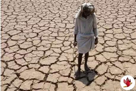 राजस्थान में मानसून की बेरुखी, अधिकांश जिलों में सामान्य से बेहद कम बरसे बादल