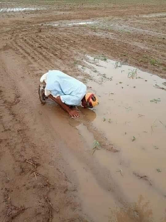 ખેતરે જળને નતમસ્તક વંદન કરતા ભૂમિપુત્રની અલભ્ય તસ્વીર વાયરલ