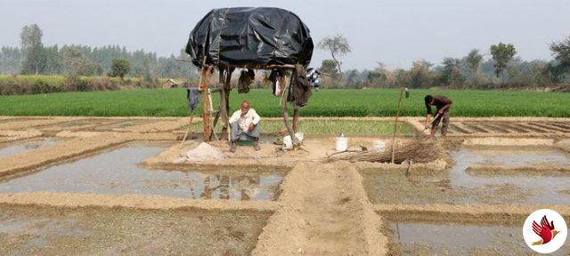 सिंचाई योजनाओं की धीमी गति पर भड़के मंत्री