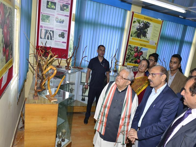 Governor visits Regional Horticulture Research and Training Station Mashobra