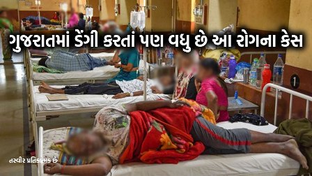 ચિકનગુનિયાના કેસમાં ગુજરાત દેશમાં બીજા નંબરે, ડેન્ગ્યુ કરતા પણ વધુ વકર્યો