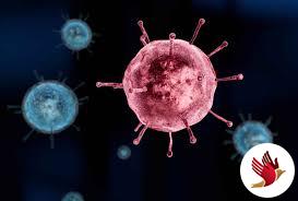 Coronavirus जम्मू-कश्मीर में पहले मामले की पुष्टि