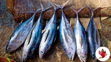 Bengal Government Starts Selling Fish Online To Beat Price Rise Amid Lockdown