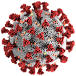 koronavirus_700px-ubakgrunn.png