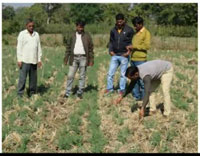 अब बालाघाट के किसान हुए हाईटेक, ऑनलाईन प्राप्त कर रहे प्रशिक्षण