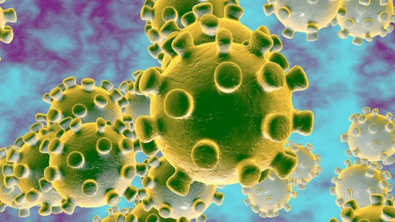 Coronavirus: 2725 हुई मरीजों की संख्या