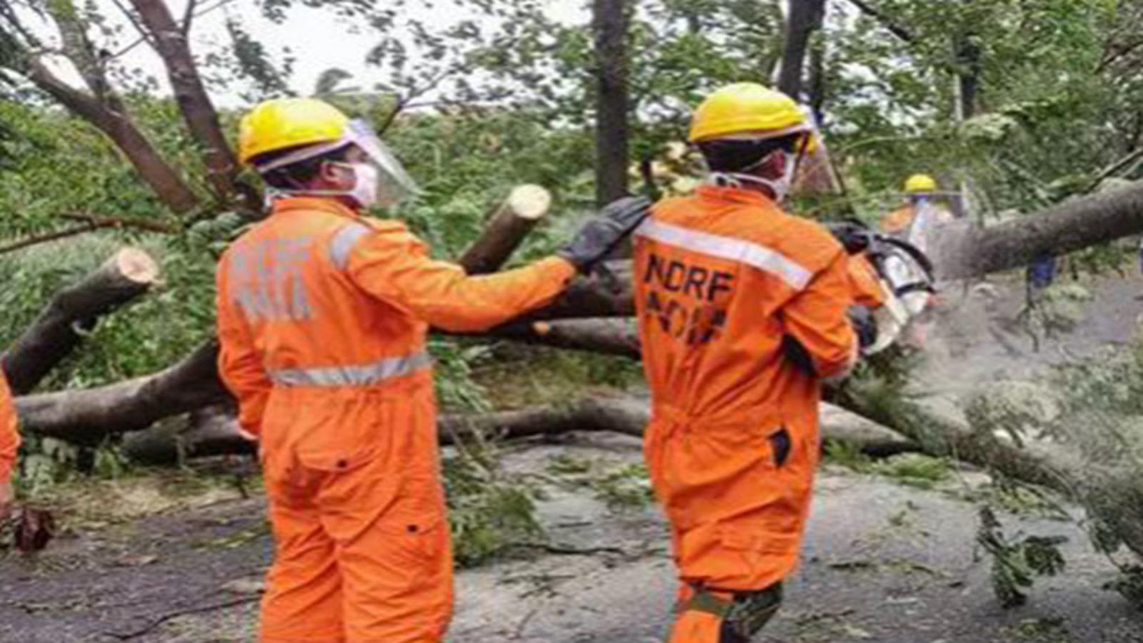 4 NDRF personnel test COVID19 positive