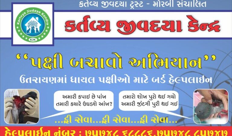 મોરબી : ઘાયલ પક્ષીઓ અંગે કર્તવ્ય જીવદયા કેન્દ્રની હેલ્પલાઇન નંબર પર જાણ કરવા અપીલ