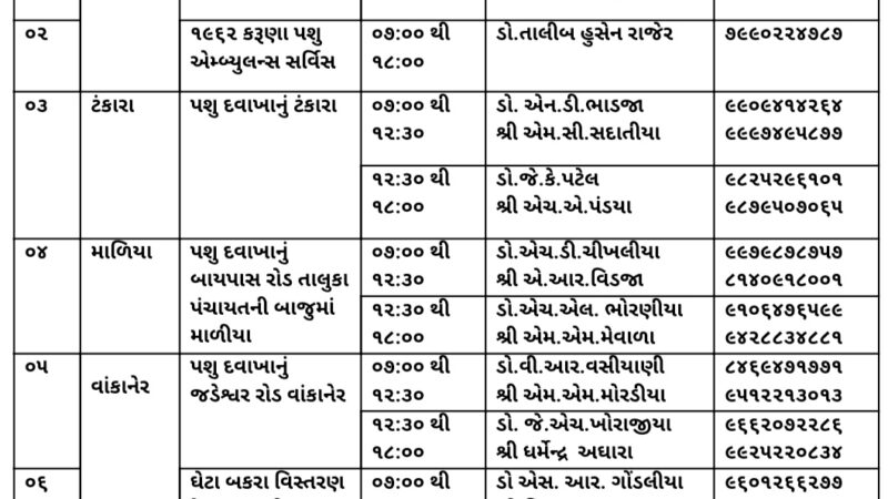 મોરબી : કરુણા અભિયાન અંતર્ગત દોરાથી ઘાયલ પશુ-પક્ષી માટે દરેક તાલુકામાં સારવાર કેન્દ્રો શરૂ