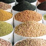 pulses-kathod_d.jpg