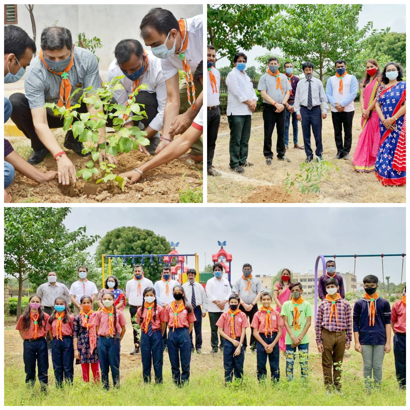 હિન્દુસ્તાન સ્કાઉટ એન્ડ ગાઈડ એસોસિએશન દ્વારા મેગા ટ્રી પ્લાન્ટેશન નું સમર્પણ પબ્લિક સ્કુલ ખાતે આયોજન