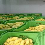 banana-cold-storage-sandesh-copy.jpg