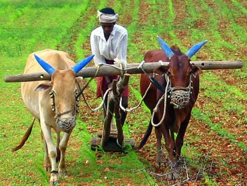 23 ડીસેમ્બર, “રાષ્ટ્રીય કિસાન દિવસ”