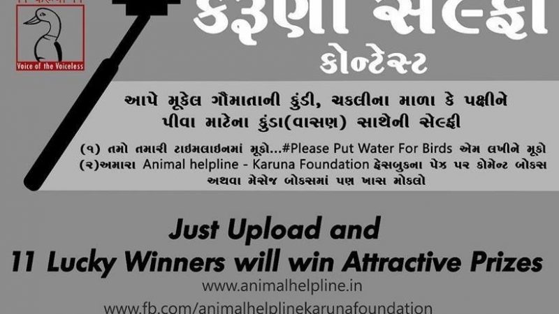 શ્રી કરૂણા ફાઉન્ડેશન ટ્રસ્ટ, એનીમલ હેલ્પલાઇન દ્વારા ‘કરૂણા સેલ્ફી કોન્ટેસ્ટ