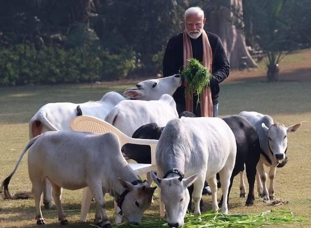 ભારતનાં જીવદયા, ગૌસેવા જગતની અપેક્ષાઓ વ્યક્ત કરતાં સમસ્ત મહાજનનાં ગિરીશભાઇ શાહ