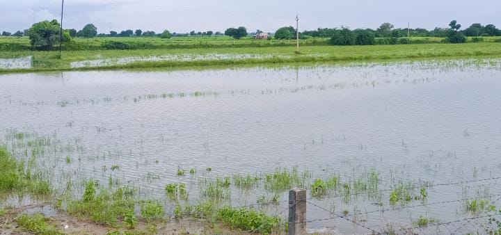 રાધનપુર પંથકમાં ખેતરો બેટમાં ફેરવાયા.